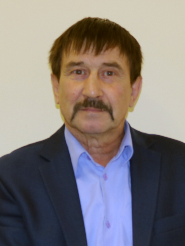 Домашенков Николай Александрович Домашенков Николай Александрович.